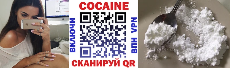 где купить наркотик  Барыш  КОКАИН Fish Scale 