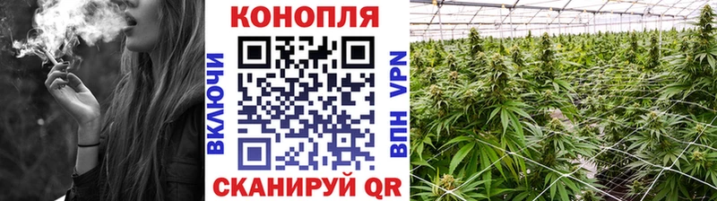 Шишки марихуана планчик  Барыш 